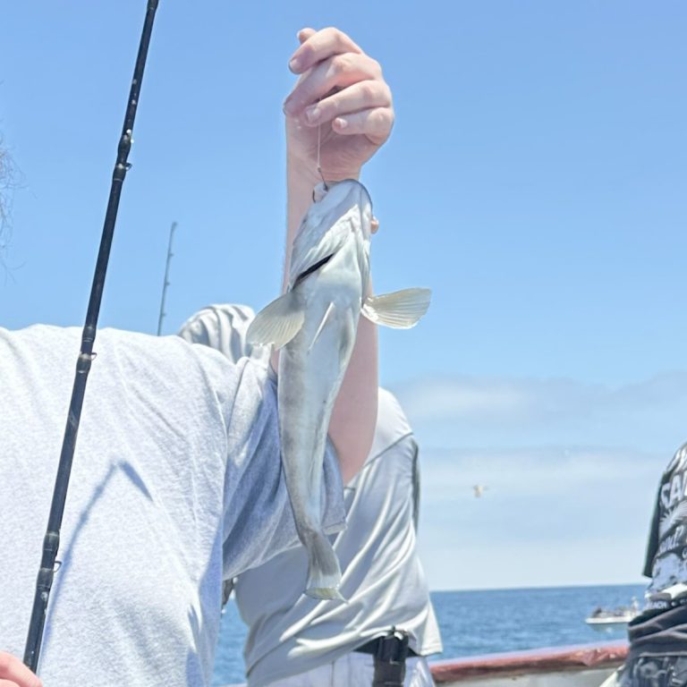Sycamores Foster Youth Fishing Trip
