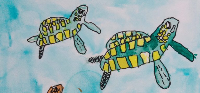 Sycamores' 2026 Calendar, Elias' Sea Turtles